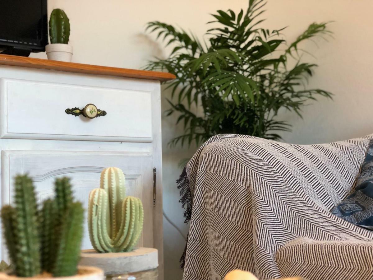 Cactus Lodge كوراليهو المظهر الخارجي الصورة
