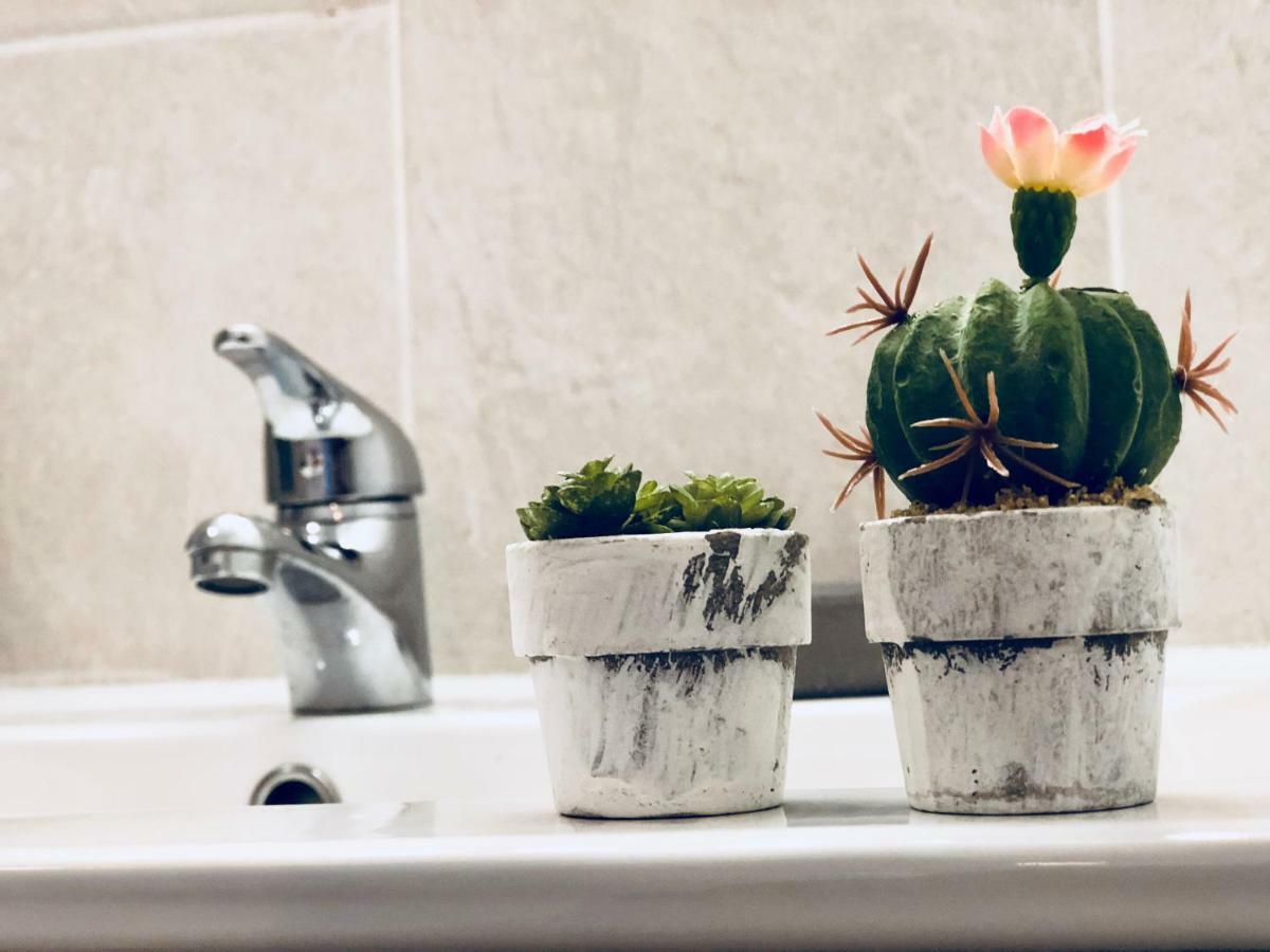 Cactus Lodge كوراليهو المظهر الخارجي الصورة